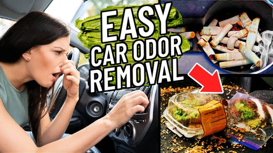 Got A Smelly Car? These 10 EASY Tips Got You Covered