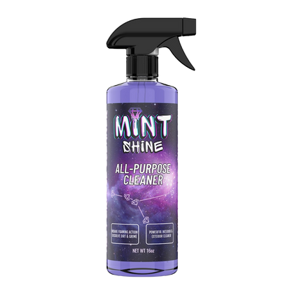 Starter Car Detailing Kit